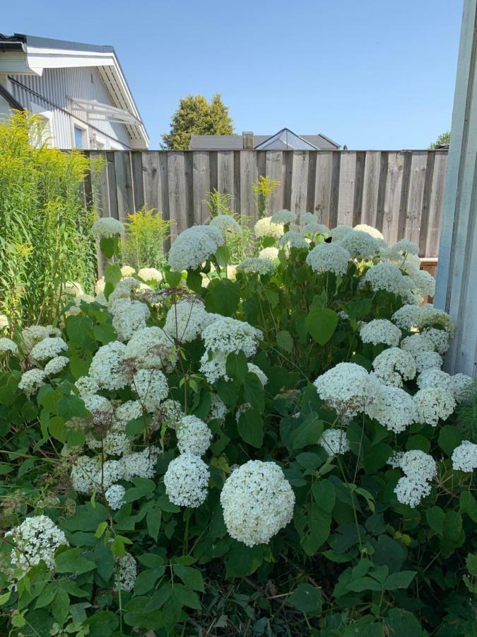 Private House Parking Garden Sea Nature Malmö Extérieur photo